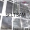 Seltsam (Imunar Remix) - Loewenhertz lyrics