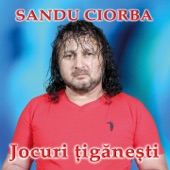 Jocuri Tiganesti artwork