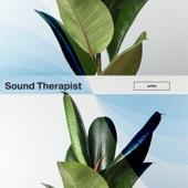 Practically by Sound Therapist