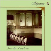 Spoons - Nova Heart