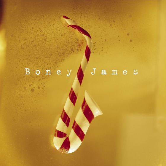 Cover artwork for Sleigh Ride
