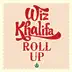 Roll Up song reviews