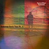 Dubstep Sonic Tour Pt. 1 - Single