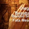 Baiatul Si Fata Mea - Single