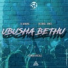 Ubusha Bethu (feat. Slenda Vocals) - Single