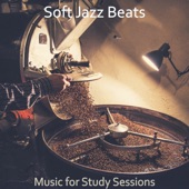 Music for Study Sessions artwork