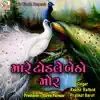 Mare Todle Betho Mor - Best Gujarati Traditional Song - Single album lyrics, reviews, download