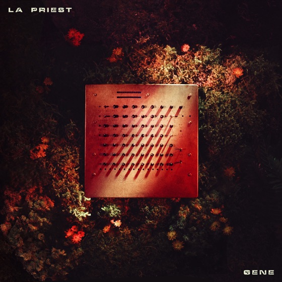 Cover artwork for Beginning