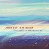 Journey into Night