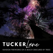 Random Fireworks on a Beach Obscured by Trees artwork