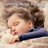 Calming Music For Kids: Piano Baby Lullabies For Baby Sleep album lyrics, reviews, download