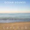 Ocean Sounds of Cape Cod