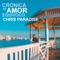 Crónica De Amor Equívoco artwork