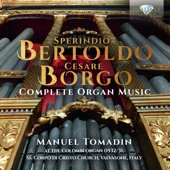 Bertoldo & Borgo: Complete Organ Music artwork