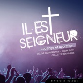 Il est Seigneur, louange et adoration artwork