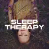 Sleep Therapy: 20 Ways to Fall Asleep That Actually Work (2018) album lyrics, reviews, download