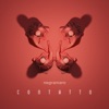 Contatto by Negramaro iTunes Track 2