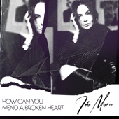 How Can You Mend a Broken Heart artwork