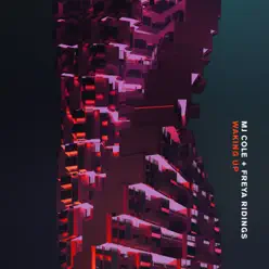 Waking Up - Single - Freya Ridings Waking Up - Single - Freya Ridings