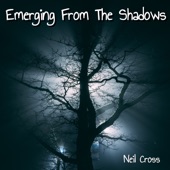 Emerging from the Shadows artwork