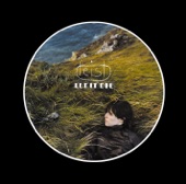 One Evening by Feist
