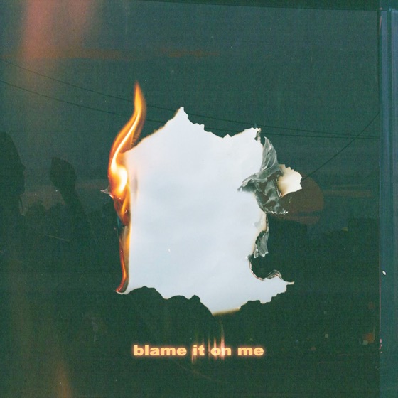 Cover artwork for Blame It On Me