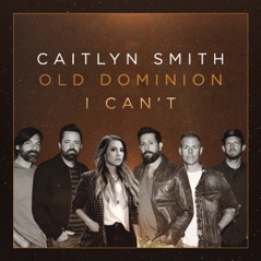 I Can't (feat. Old Dominion) - Single