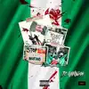 Blood On the Flag #EndSARS - Single album lyrics, reviews, download
