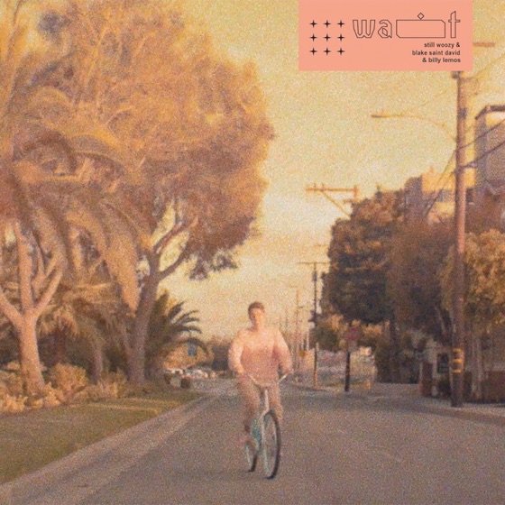 Cover artwork for Wait
