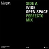 Wide Open Space (Perfecto Mix) - Single