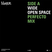 Wide Open Space (Perfecto Mix) artwork
