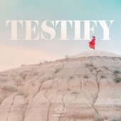 Testify artwork