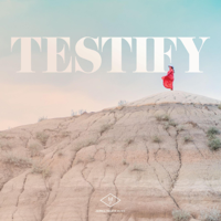 Janell Malkin Music - Testify artwork