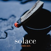 Solace artwork