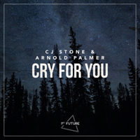 CJ Stone & Arnold Palmer - Cry For You artwork