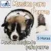 Música para Perros - 5 Horas Música Relajante Para Perros album lyrics, reviews, download