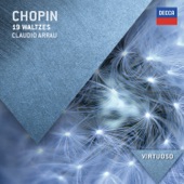 Chopin: 19 Waltzes artwork