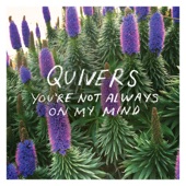You're Not Always On My Mind artwork