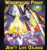 Ain't Life Grand song lyrics