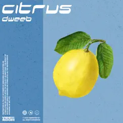 Citrus - Single by Dweeb album reviews, ratings, credits