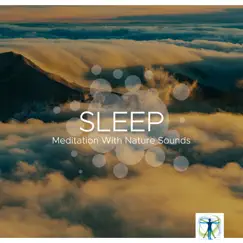 Sleep: Meditation With Nature Sounds, Gentle Sound of Rain, Ocean Waves and Tranquil Music All Night Long by Shakuhachi Sakano & Bedtime Songs Collective album reviews, ratings, credits