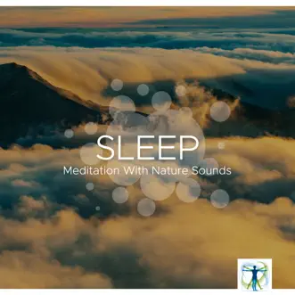 Sleep: Meditation With Nature Sounds, Gentle Sound of Rain, Ocean Waves and Tranquil Music All Night Long by Shakuhachi Sakano & Bedtime Songs Collective album reviews, ratings, credits