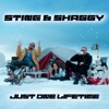 Just One Lifetime (with Shaggy) by Sting iTunes Track 3