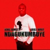 Ndagukumbuye - Single