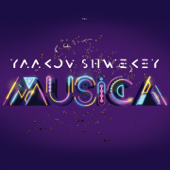 Musica - Yaakov Shwekey