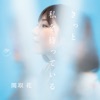 Hana Sekitori - Touhikou