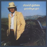 David Gates - Took the Last Train