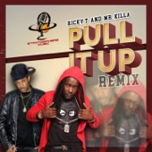 Pull It Up (feat. Mr Killa) [Remix] artwork