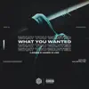 What You Wanted - Single album lyrics, reviews, download