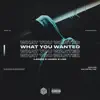 Stream & download What You Wanted - Single